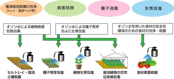 農業分野でのオゾン水利用用途